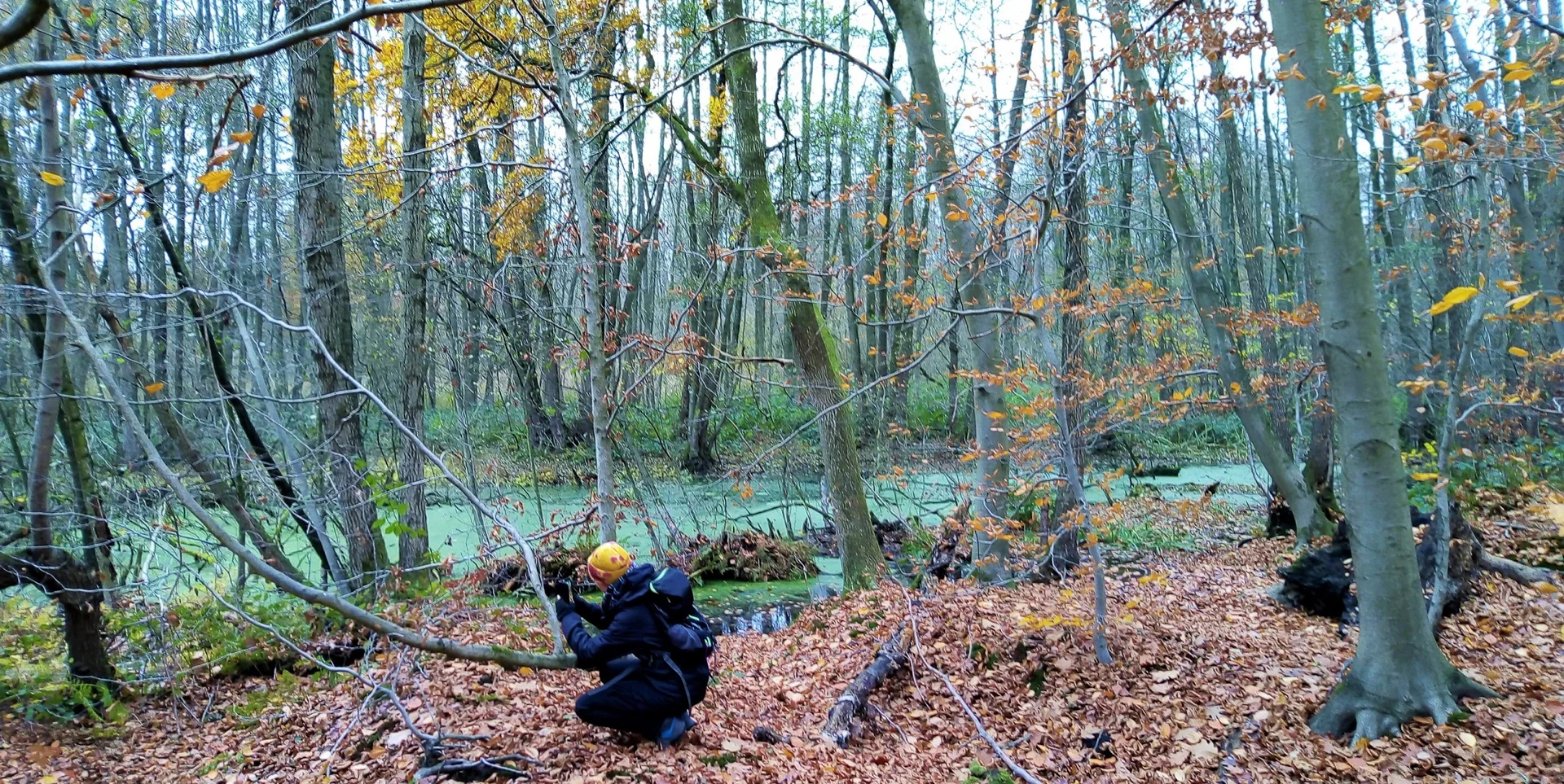 Weihnachtswanderung bei Grefrath | © Petra Herrchen 2022 | © Petra Herrchen