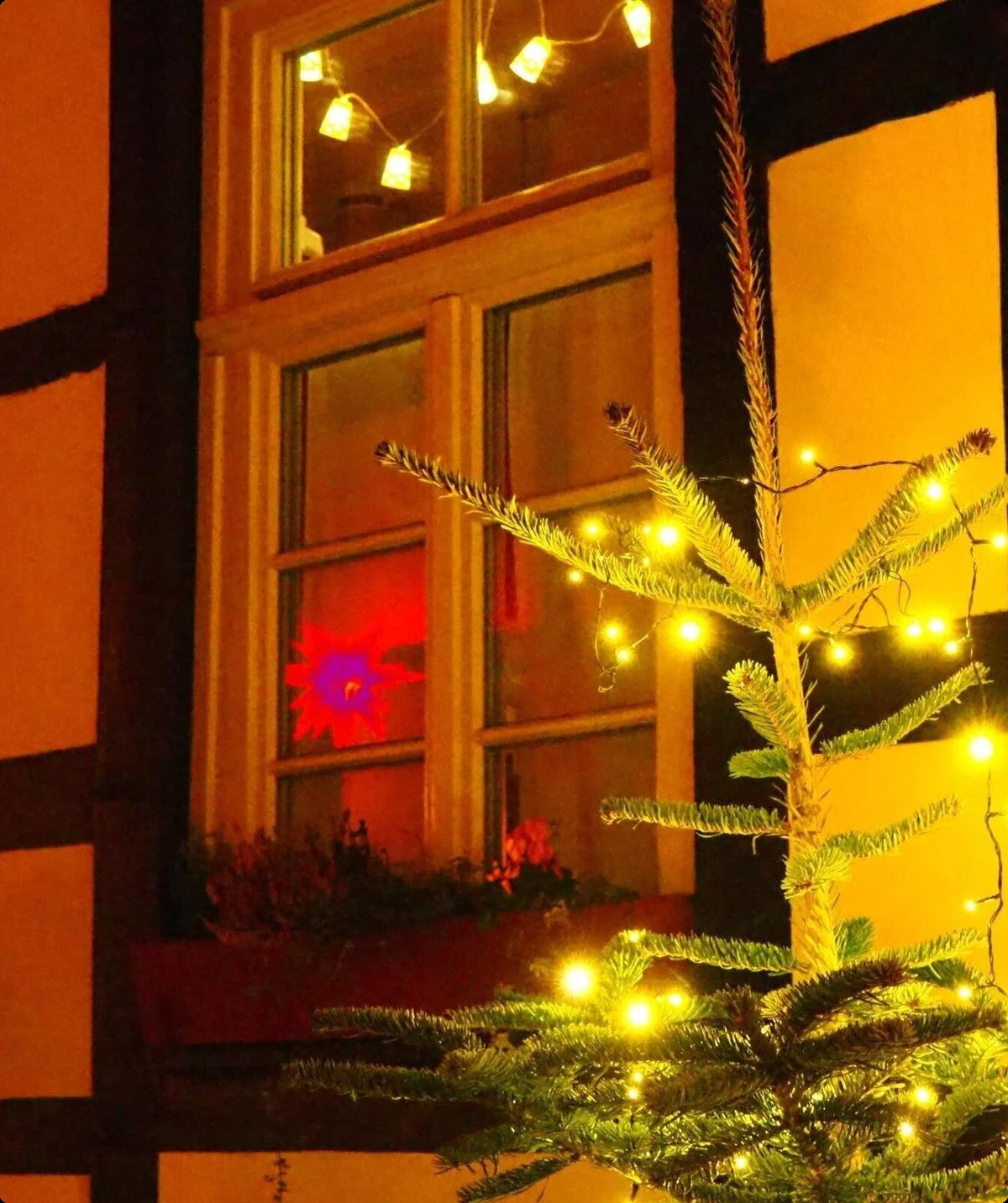 2024 | © Heike Sloma