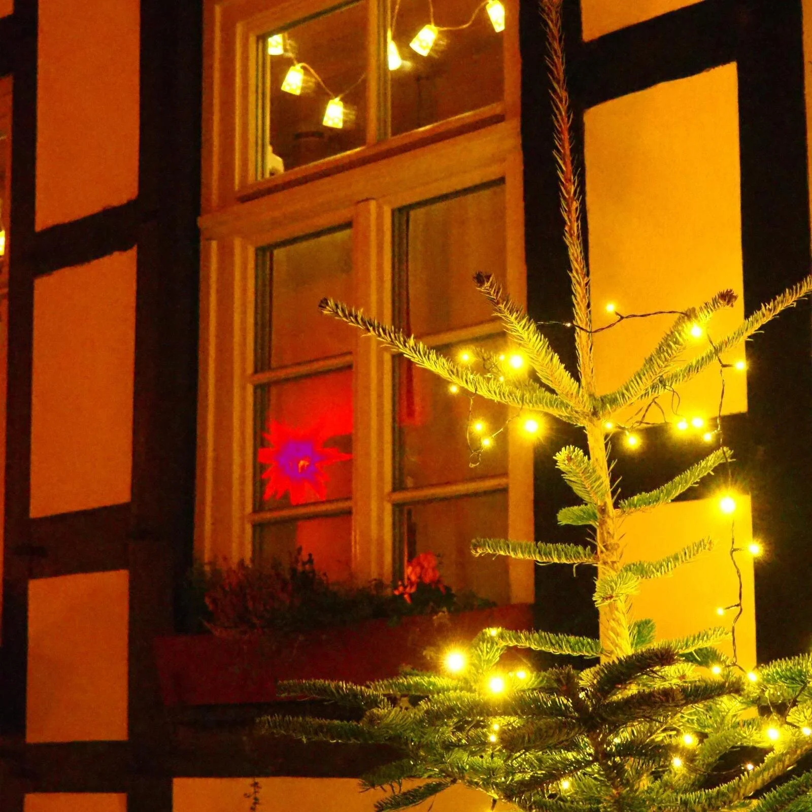 2024 | © Heike Sloma