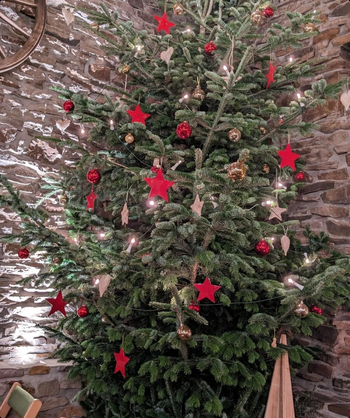 2024 | © Inga Jockel