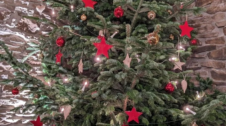 2024 | © Inga Jockel