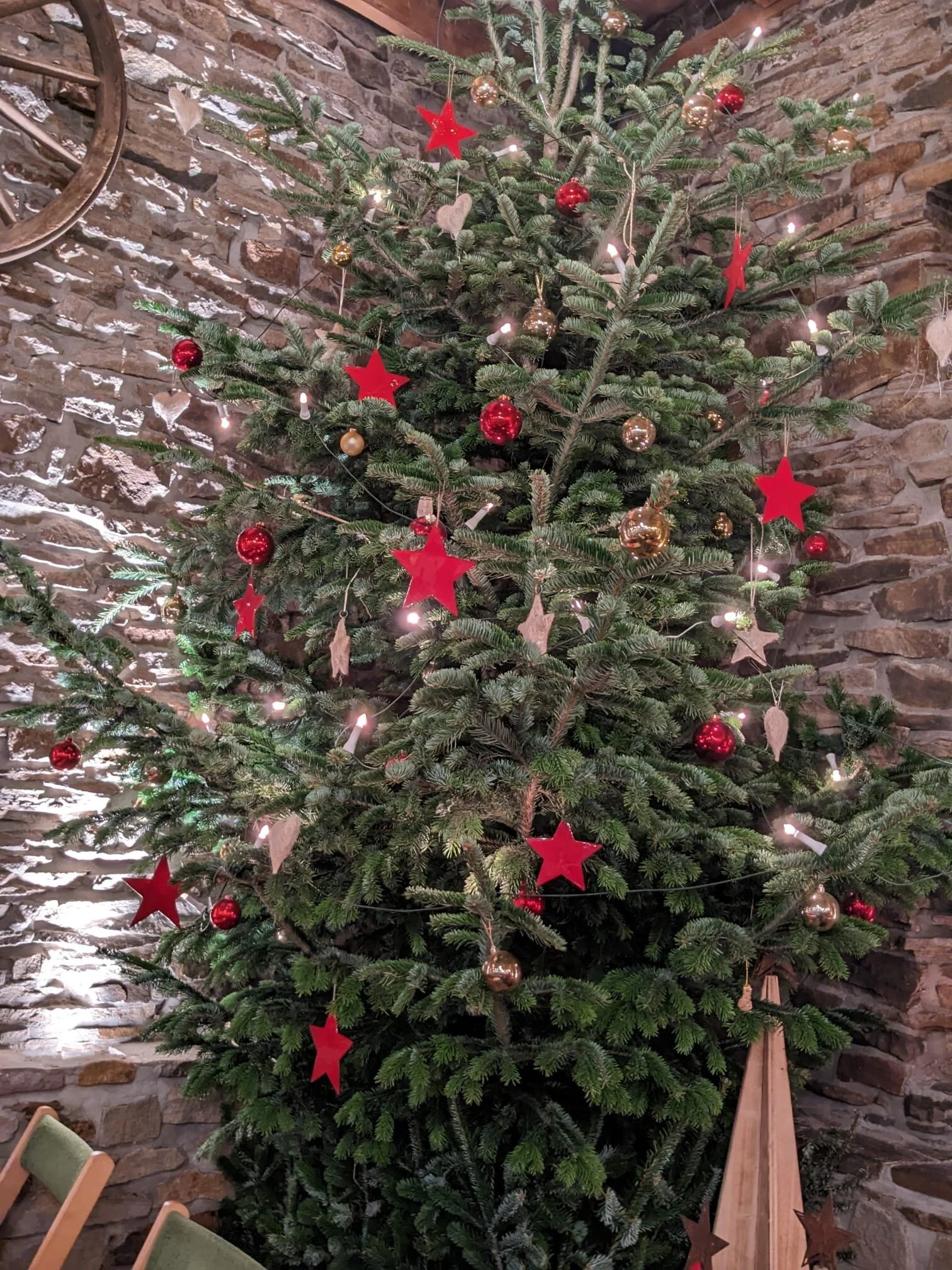 2024 | © Inga Jockel