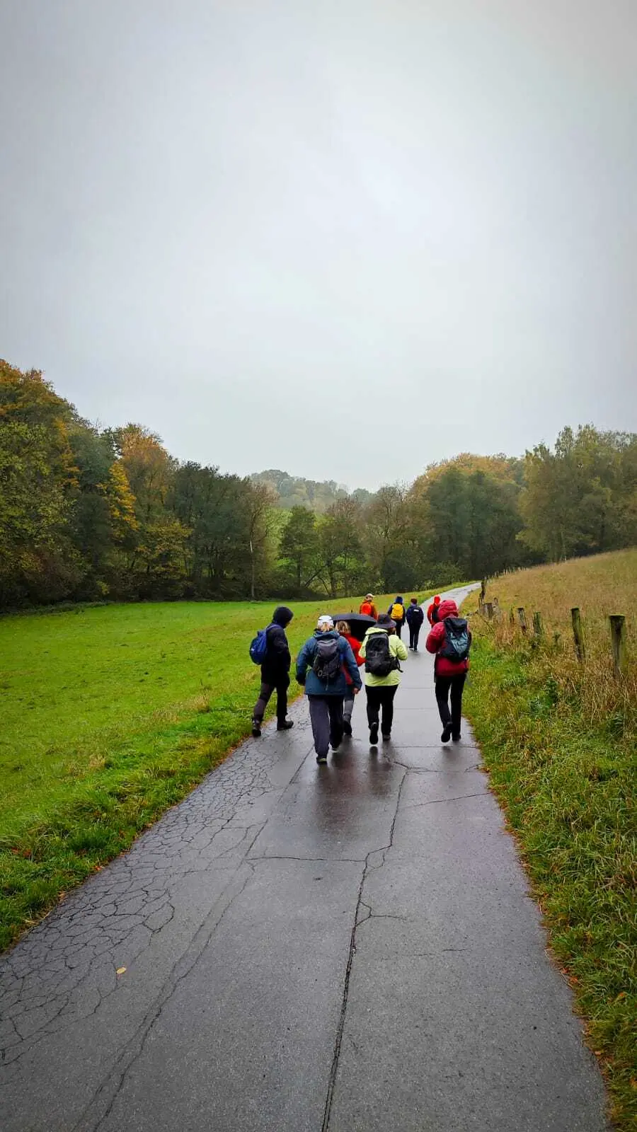 2025 | © Gerd Jockel