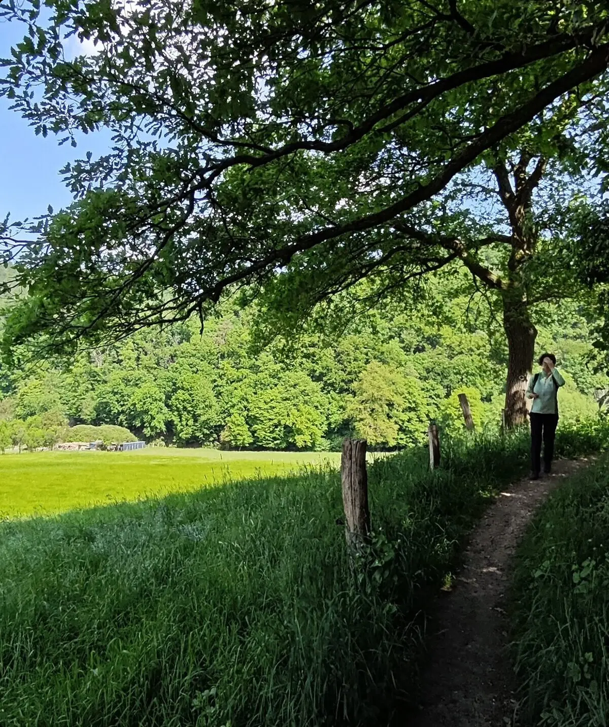 2025 | © Gerd Jockel