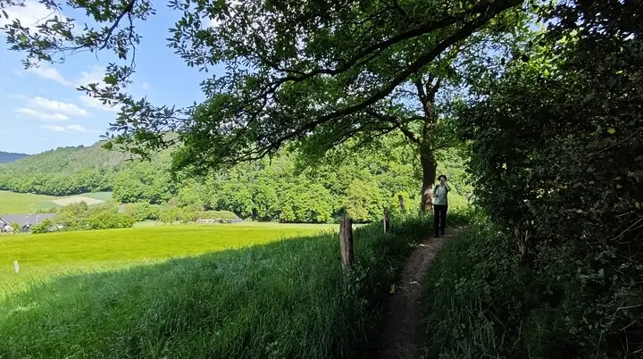 2025 | © Gerd Jockel