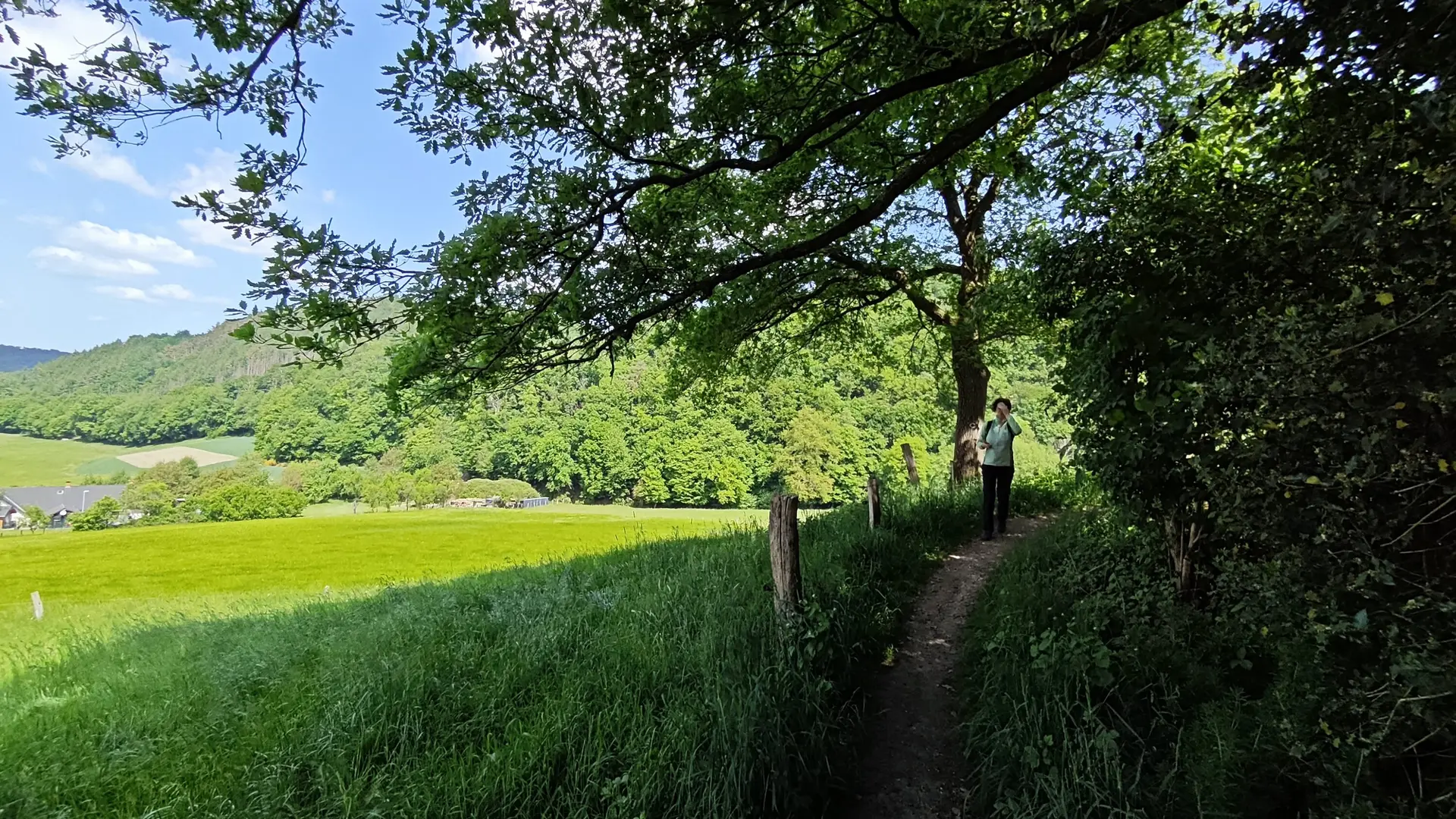 2025 | © Gerd Jockel