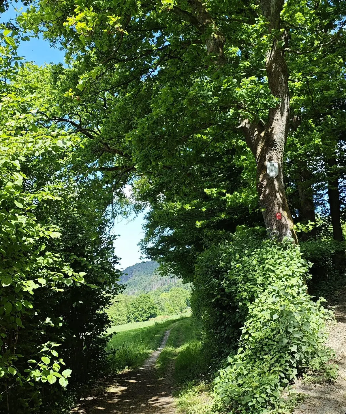 2025 | © Gerd Jockel