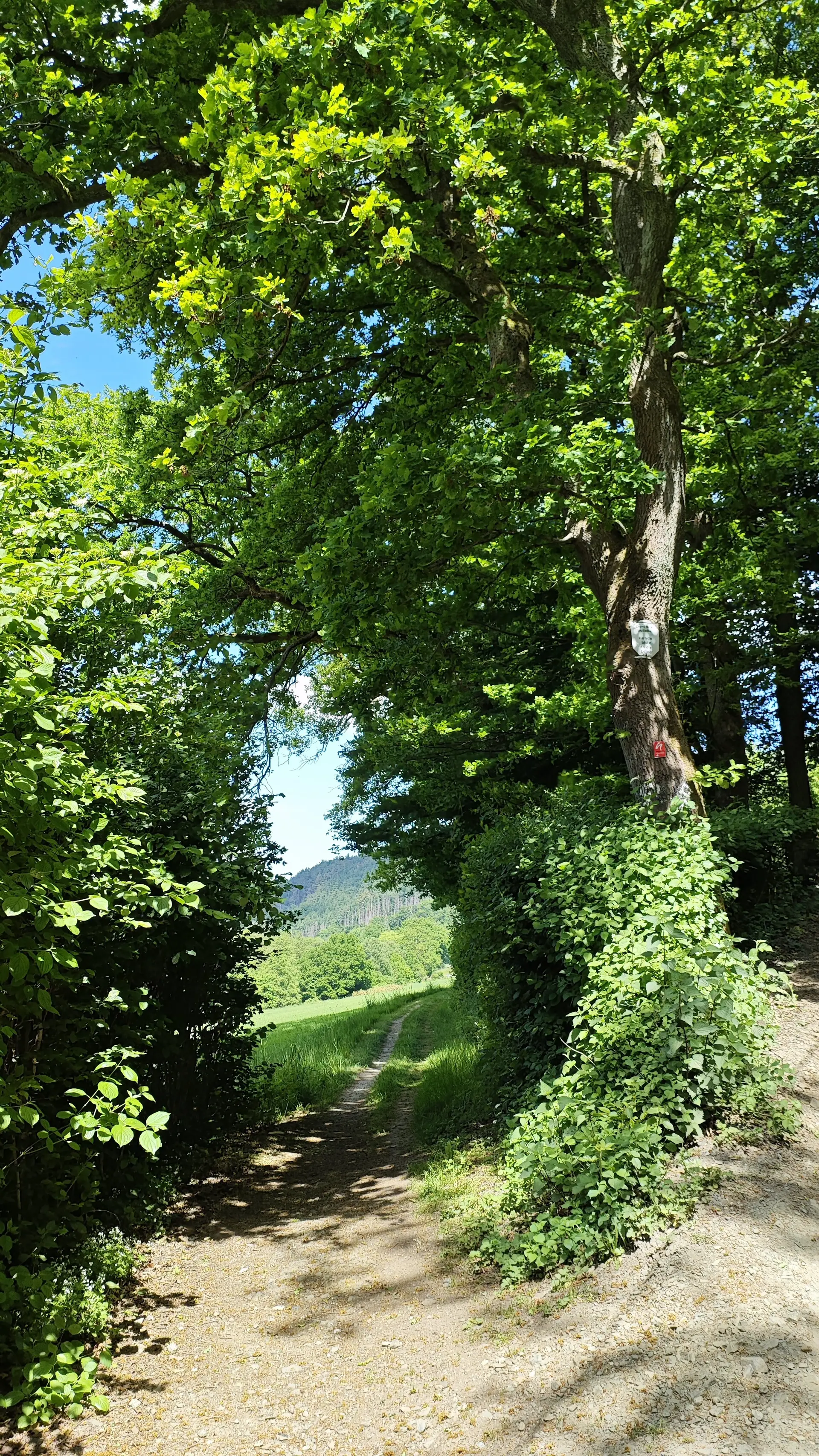 2025 | © Gerd Jockel