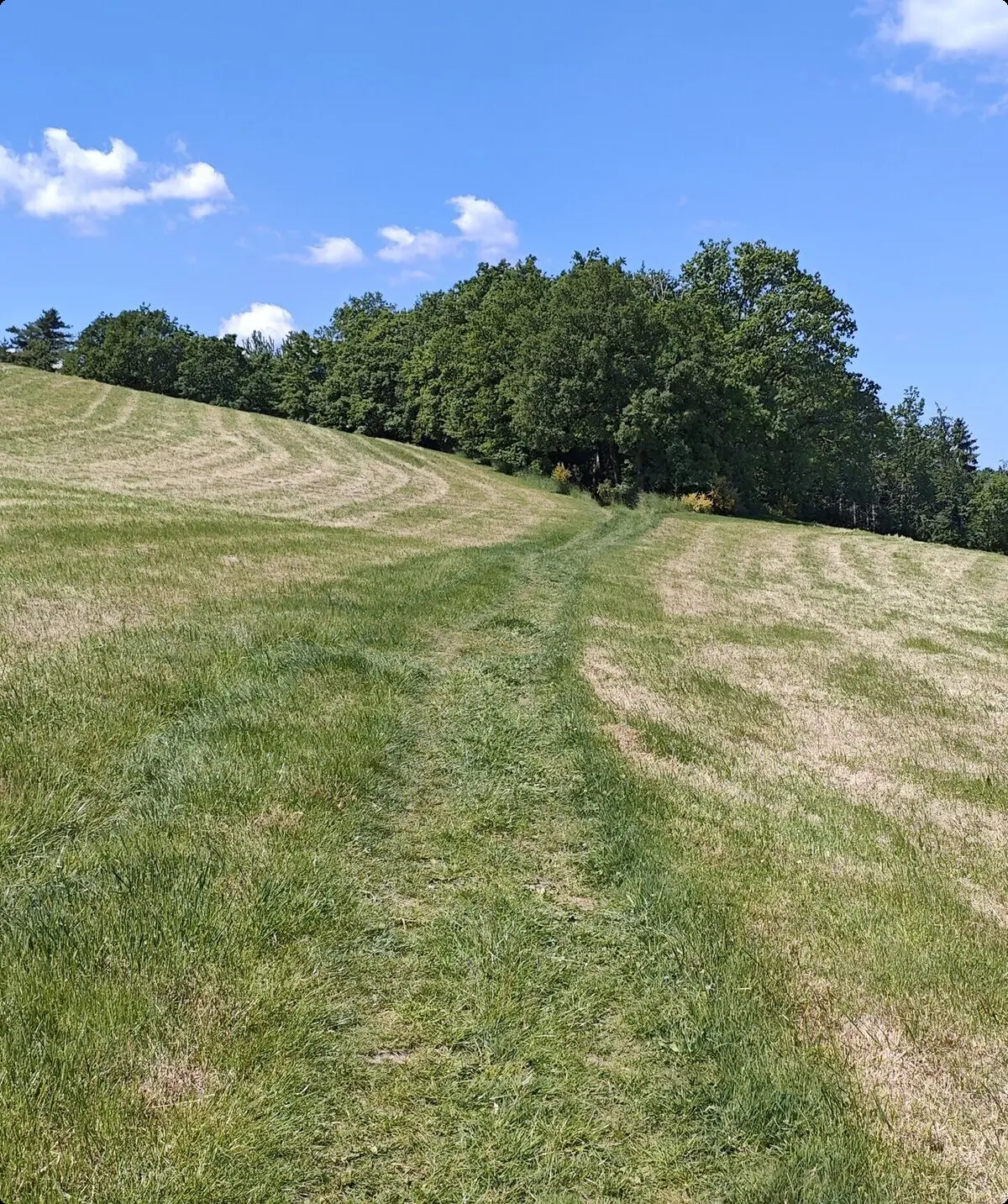 2025 | © Gerd Jockel