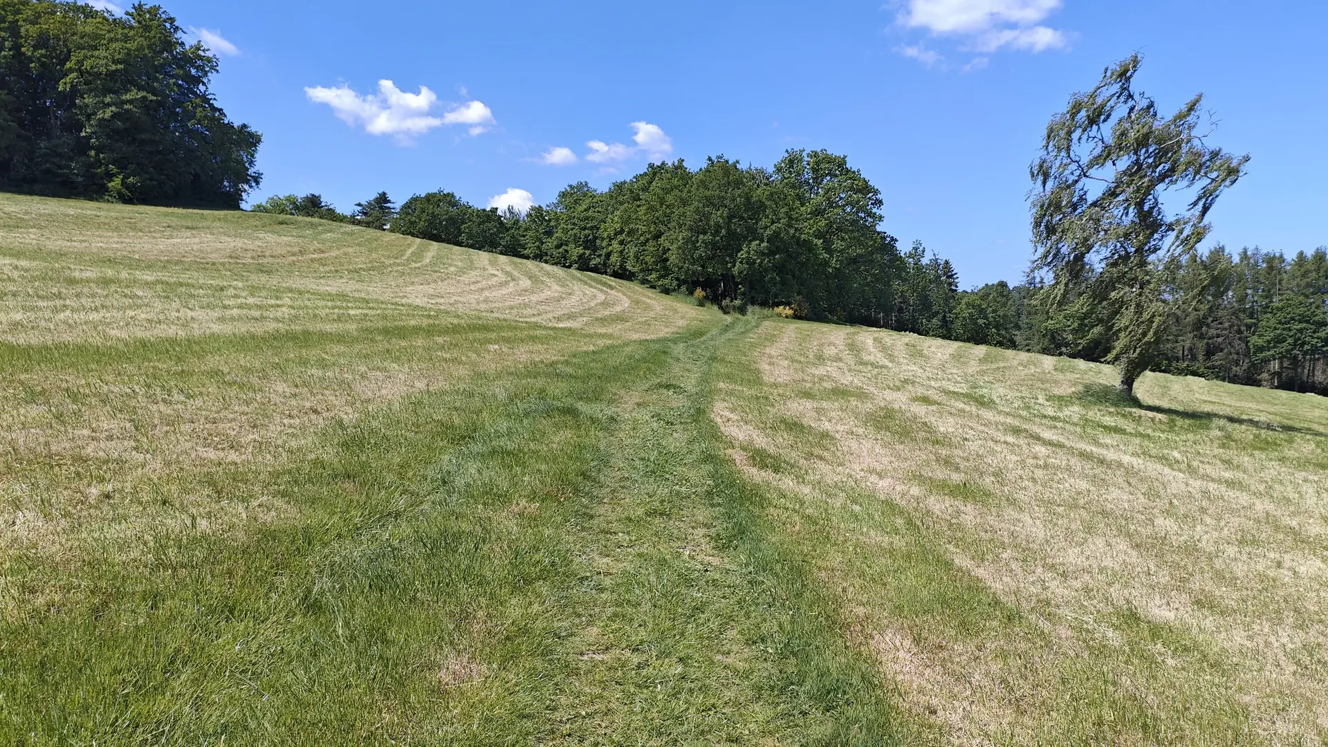 2025 | © Gerd Jockel